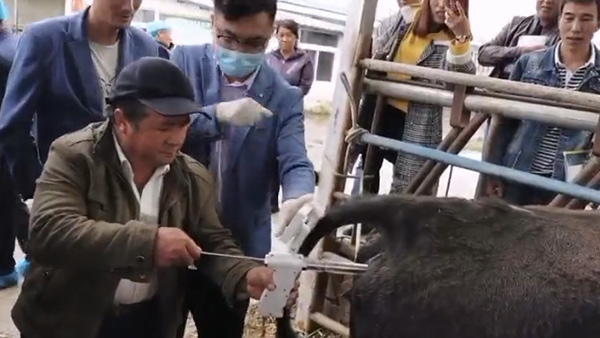 寧夏固原市涇源縣畜牧站-愛牧多案例